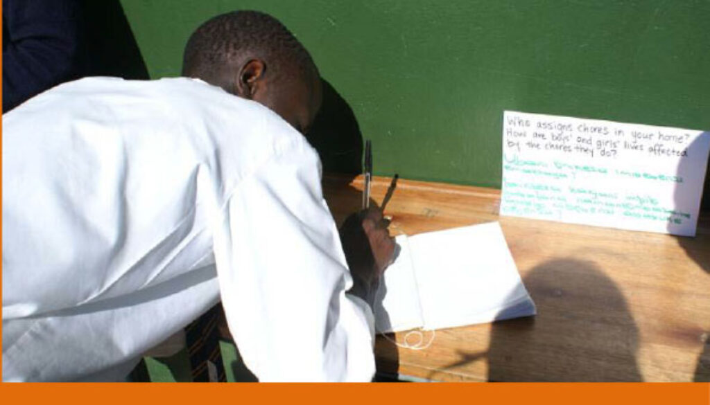 Sonke report on FF funded One Man Can Campaign 2007-2009