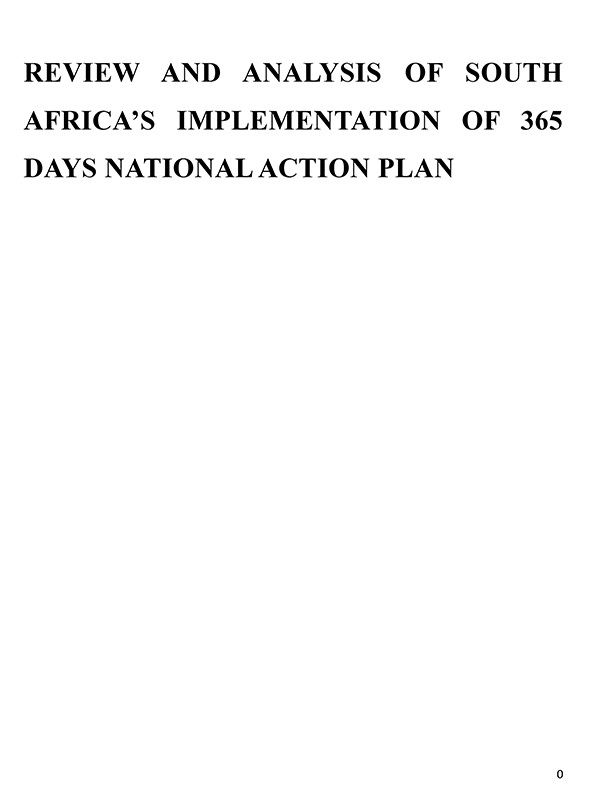 Report-on-the-Consolidation-of-the-reviews-on-the-Implementation-of-the-365-Days-National-Action-Plan