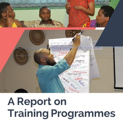 Singizi Report Training Programmes