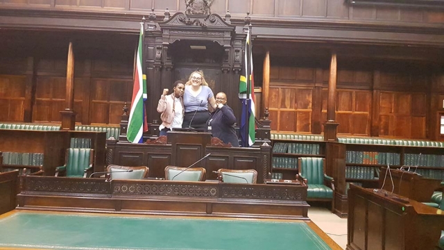 Cat Visits Parliament