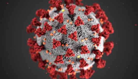 Coronavirus