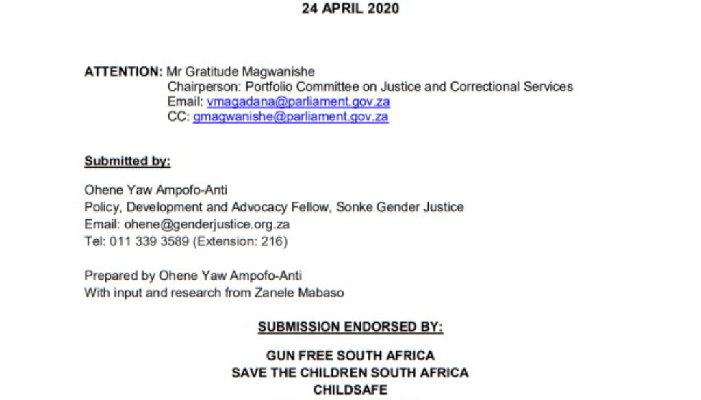 Submission Domestic Violence Amendment Bill