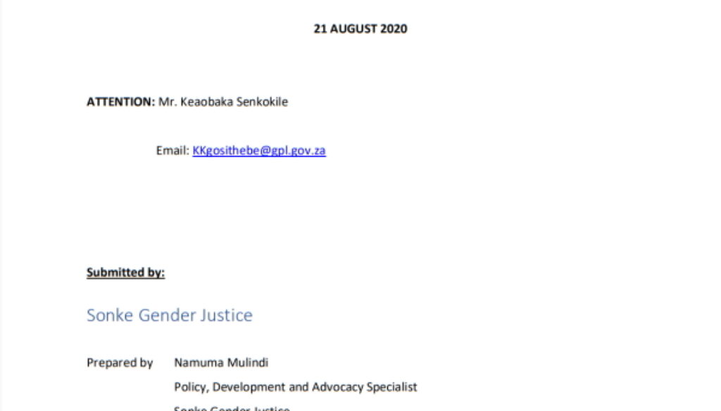 Submissions Call Public Comment Gauteng Com Oversightbill