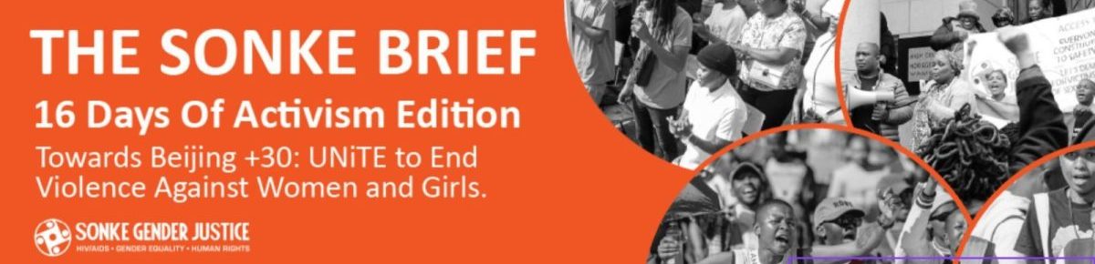 Sonke Brief: 16 Days of Activism edition