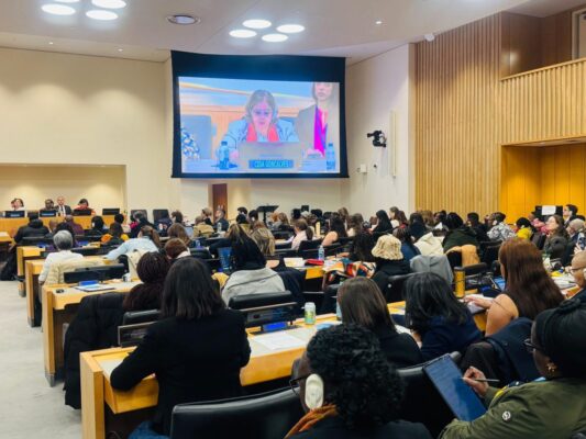 69th Commission on the Status of Women