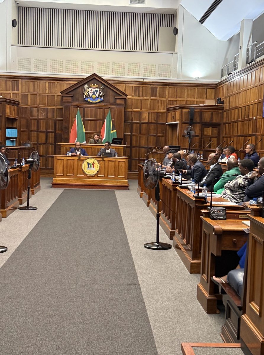 Sonke leads groundbreaking men’s dialogue in Western Cape’s provincial parliament