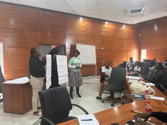 Strengthening accountability and justice responses to GBVF in Bushbuckridge