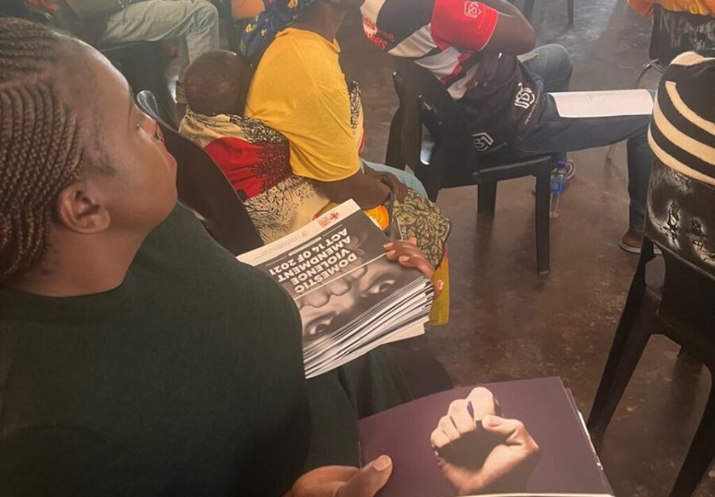 Feminist Mentorship5